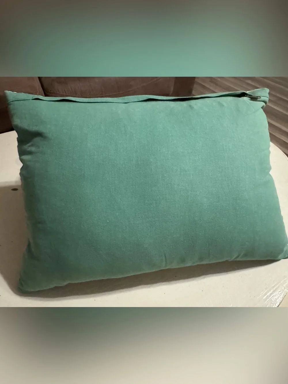 Pier 1 Green Teal Lime Checkered Embroidered Accent Pillow